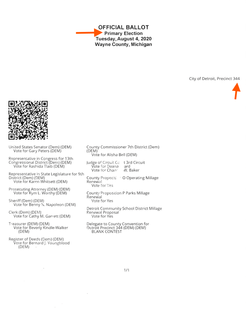 Primary-style BMD ballot example 2